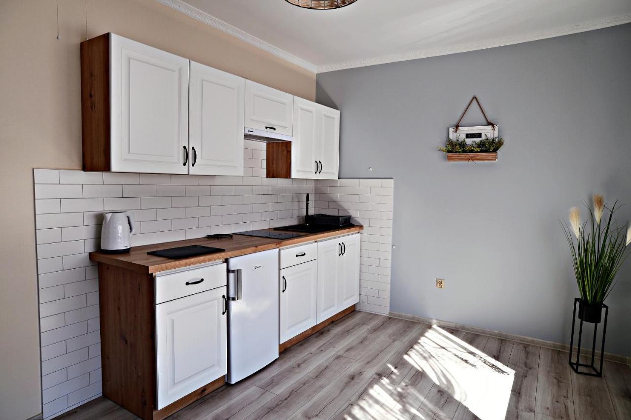 Apartament Z Tarasem I Pokoje Klimatyzowane -Drozdowka Solina ソリナ エクステリア 写真