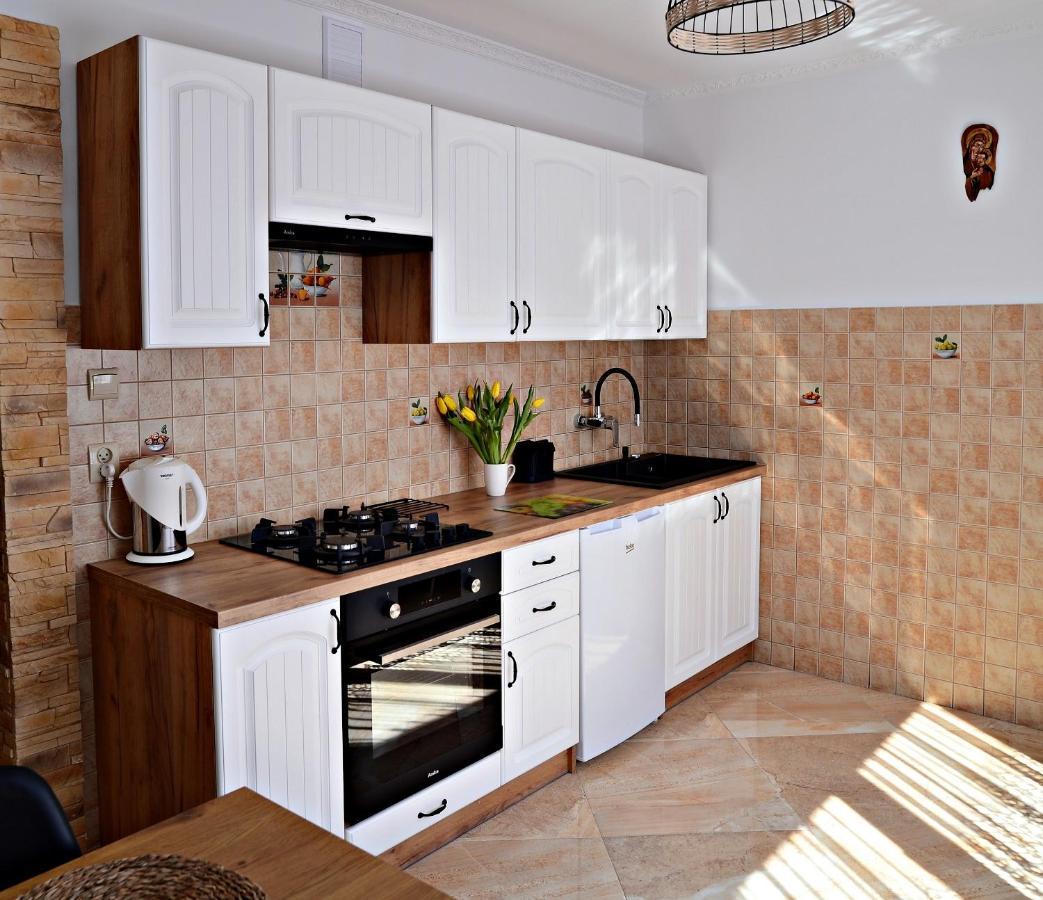 Apartament Z Tarasem I Pokoje Klimatyzowane -Drozdowka Solina ソリナ エクステリア 写真