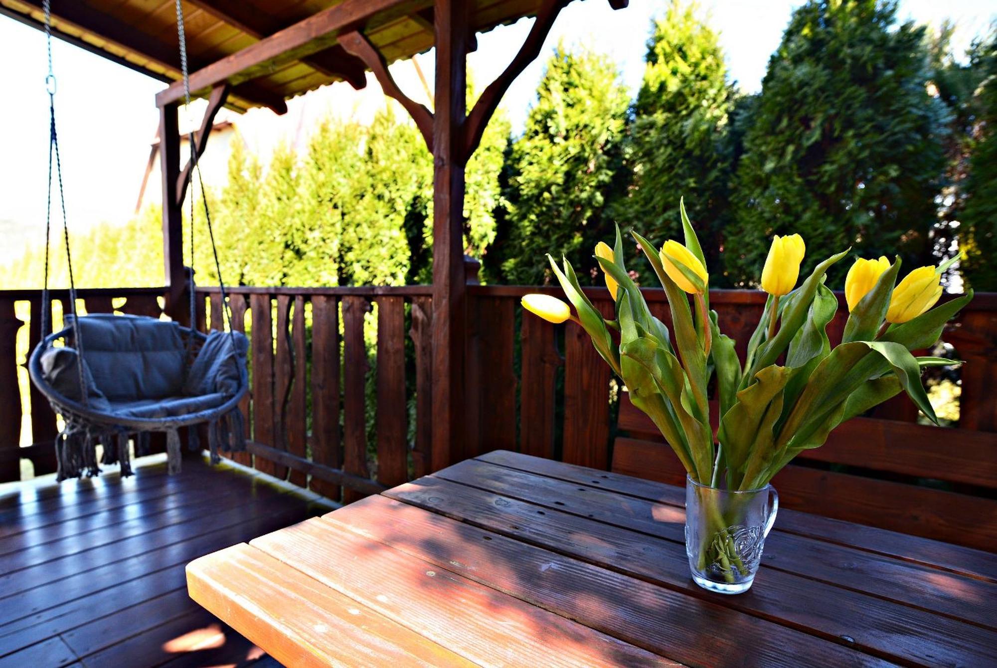 Apartament Z Tarasem I Pokoje Klimatyzowane -Drozdowka Solina ソリナ エクステリア 写真