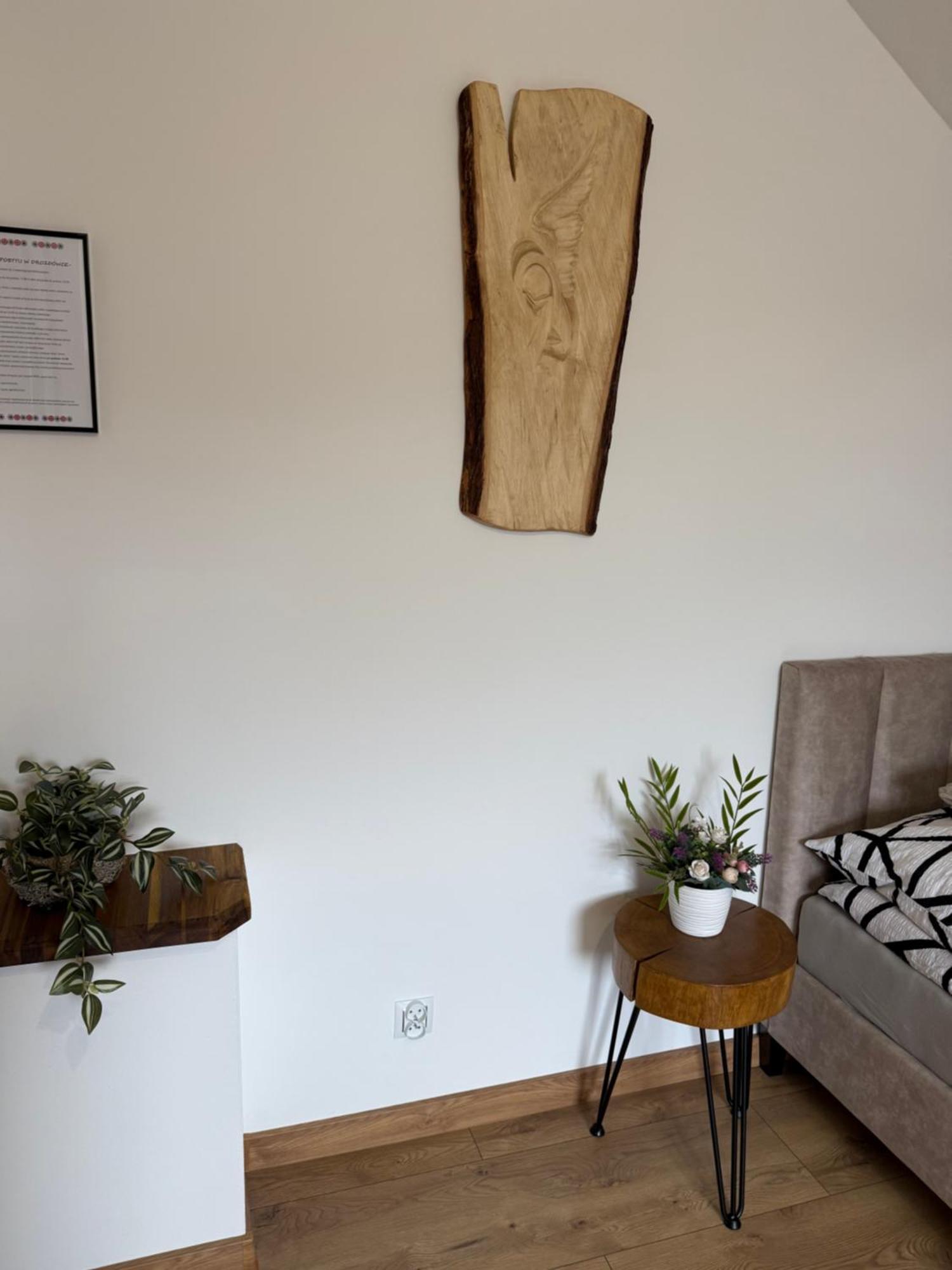 Apartament Z Tarasem I Pokoje Klimatyzowane -Drozdowka Solina ソリナ エクステリア 写真