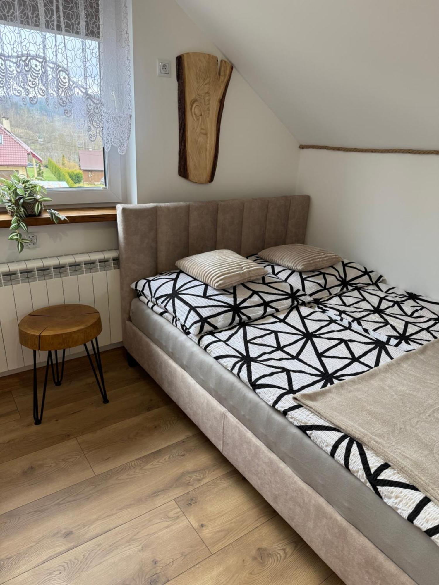 Apartament Z Tarasem I Pokoje Klimatyzowane -Drozdowka Solina ソリナ エクステリア 写真