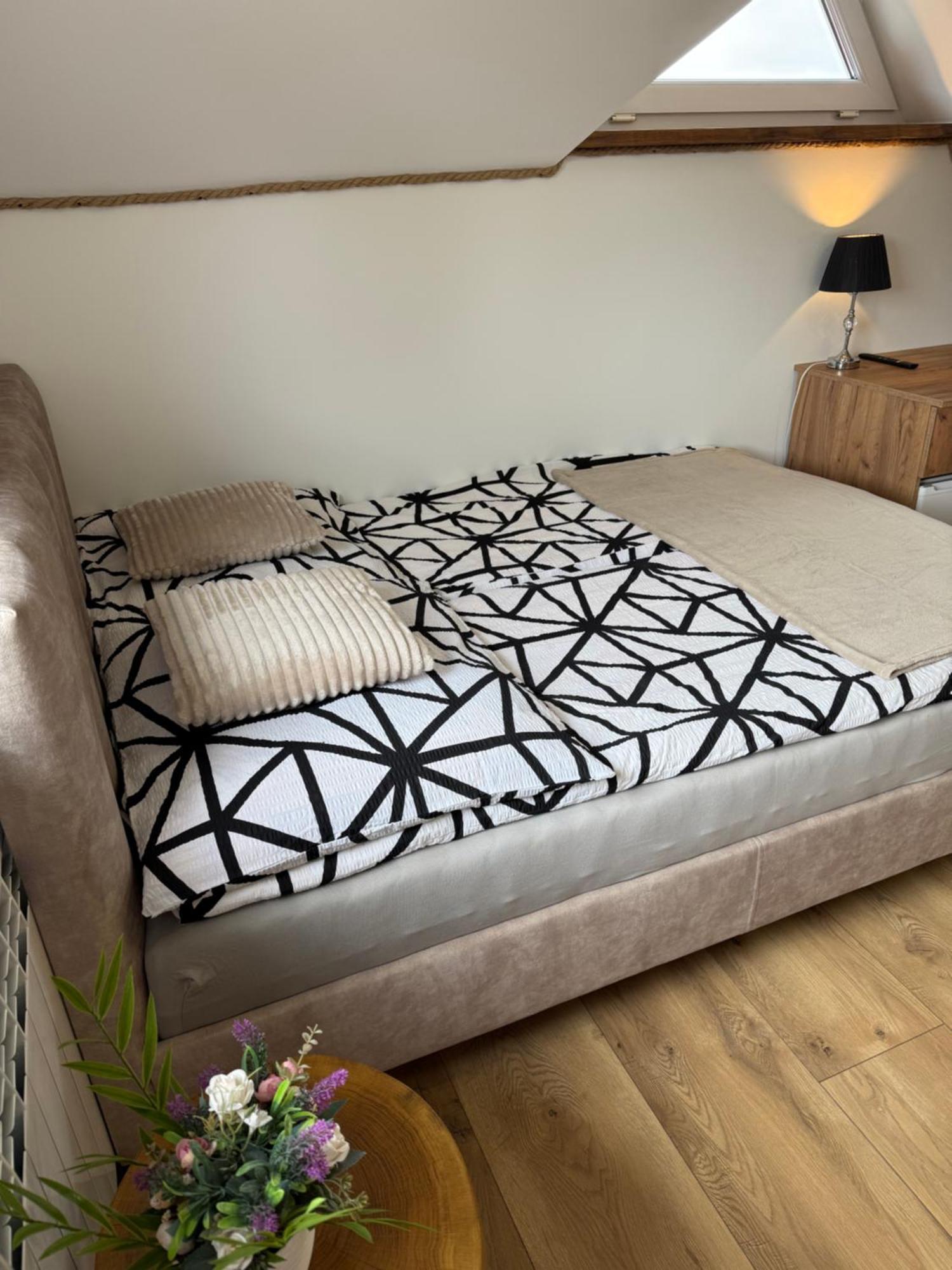 Apartament Z Tarasem I Pokoje Klimatyzowane -Drozdowka Solina ソリナ エクステリア 写真